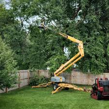Best Tree Preservation Services  in Mukilteo, WA