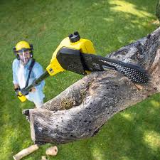 Best Soil Testing and Treatment  in Mukilteo, WA